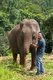 Thailand: Khun Patara explains how to make friends with an elephant, Patara Elephant Farm, Chiang Mai Province