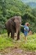 Thailand: Making friends, Patara Elephant Farm, Chiang Mai Province