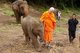 Thailand: Buddhist monk and baby elephant at the Patara Elephant Farm, Chiang Mai Province